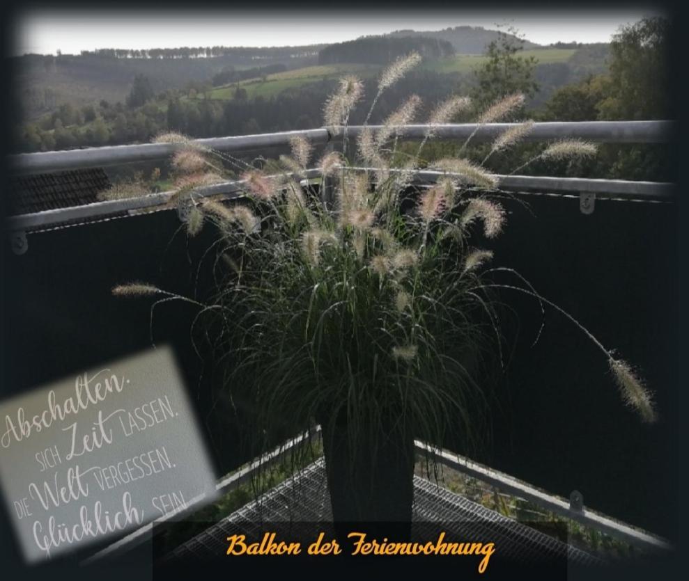 Waldglueck Familie Bruening Appartement Bad Berleburg Buitenkant foto